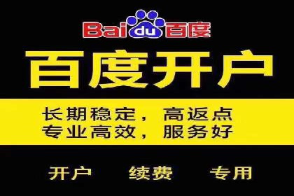 某行业sem百度竞价全解析